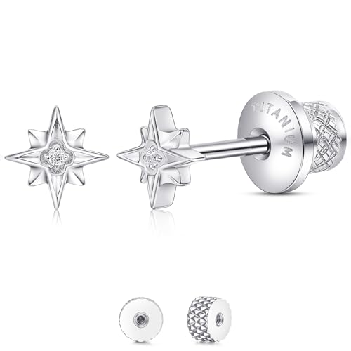 Limerencia Titanium Flat Back Screw Back Stud Earrings for Women Men - color: Silver 5