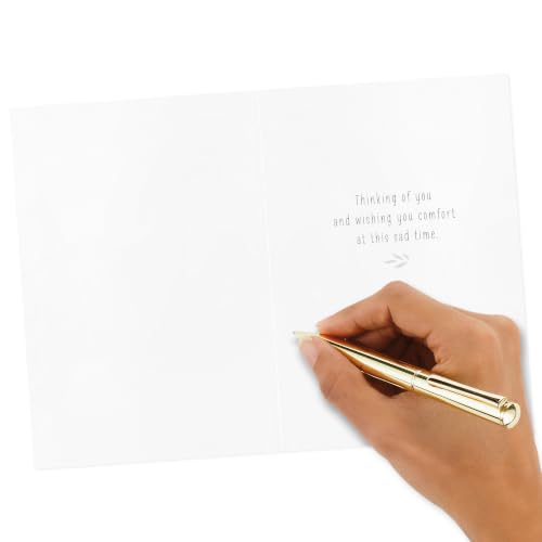 Hallmark Bulk Sympathy Cards, Assorted 16-Pack (Abstract Watercolor)