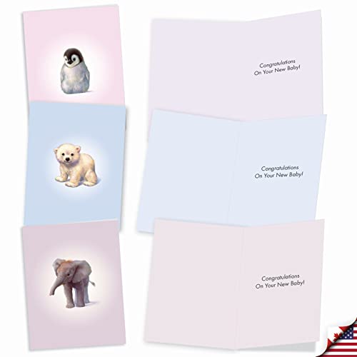 The Best Card Company 20 Assorted Baby Notecards Box Set 4 x 5.12 Inch with Envelopes (10 Designs, 2 Each) Zoo little ones AM6726BBG-B2x10 - style: Zoo Babies Baby