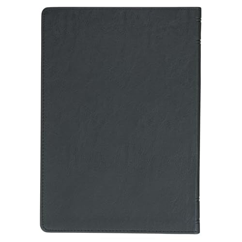 God's Daily Wisdom for Men 366 Devotions Faux Leather