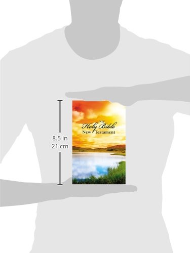 New Testament: New International Version, Scenic