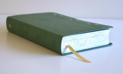 Biblia RVR 1960 Letra gigante símil piel verde con pájaros (Edición cantos pintados) / Spanish Bible RVR 1960 Giant Print Handy Size Leathersoft Green (Spanish Edition)