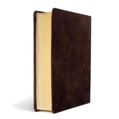 CSB Study Bible, Brown Genuine Leather, Red Letter, Study Notes and Commentary, Illustrations, Articles, Word Studies, Outlines, Timelines, Easy-to-Read Bible Serif Type