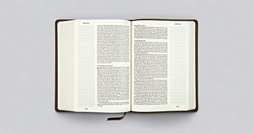 ESV Single Column Journaling Bible, Large Print (Buffalo Leather, Deep Brown): Holy Bible, English Standard Version