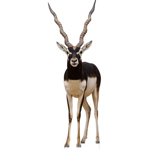 Antelope 1FT Life Size Cardboard Cutout, 1 PC - color: Antelope, size: 1FT