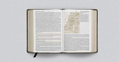 ESV Study Bible, Large Print (Genuine Leather, Black)