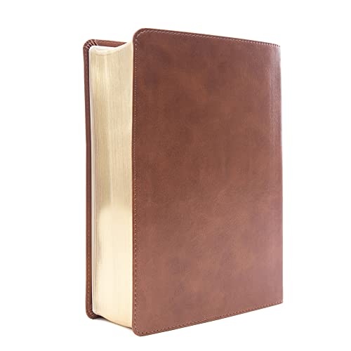 CSB He Reads Truth Bible, Saddle LeatherTouch, Black Letter, Wide Margins, Journaling Space, Study Tools, Reading Plans, Maps, Charts, Easy-to-Read Bible Serif Type