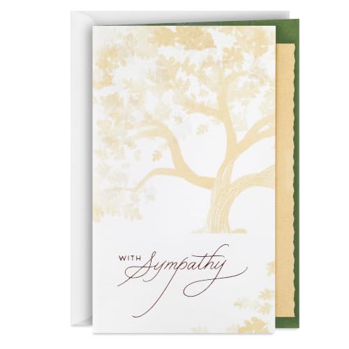Hallmark Sympathy Card (Hoping You Find Comfort) - color: White
