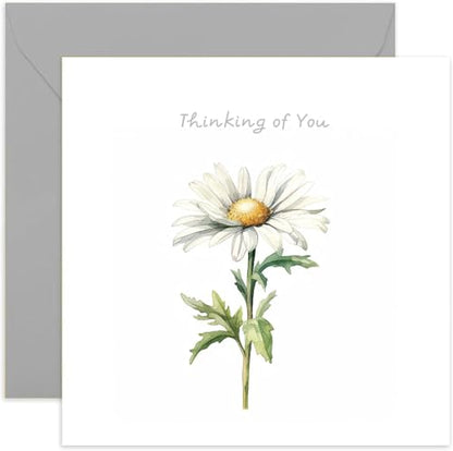Old English Co. Thinking of You Card for Men and Women - Floral Daisy Chamomile Painting Card - Sorry For Your Loss, Condolences, Get Well Soon Card for Him or Her | Blank Inside with Envelope