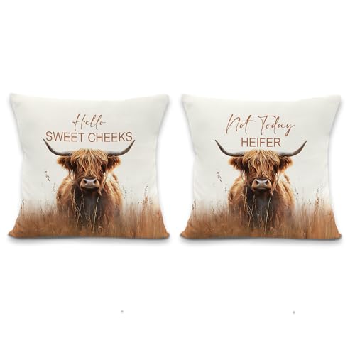 Vintage Country Highland Cow Throw Pillow Covers, Farmhouse Cow Decor, Rustic HighlandCow Decorative Pillowcases Cushion Cases for Home Bedroom Decor, 18x18 Pillow Covers Set of 2 - color: Brown