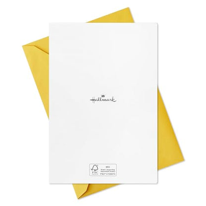 Hallmark Birthday Cards with Envelopes, Assorted 12-Pack (Blessings) - style: Birthday