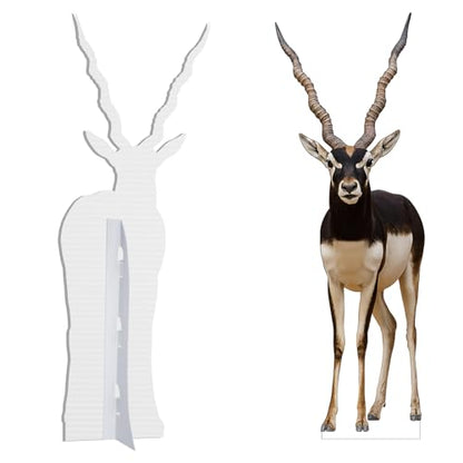 Antelope 2FT Life Size Cardboard Cutout, 1 PC - color: Antelope, size: 2FT
