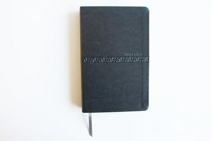 KJV Holy Bible, Large Print Medium format, Gray Faux Leather with Ribbon Marker, Red Letter, thumb Index (KJV Medium Size Large Print Editions)