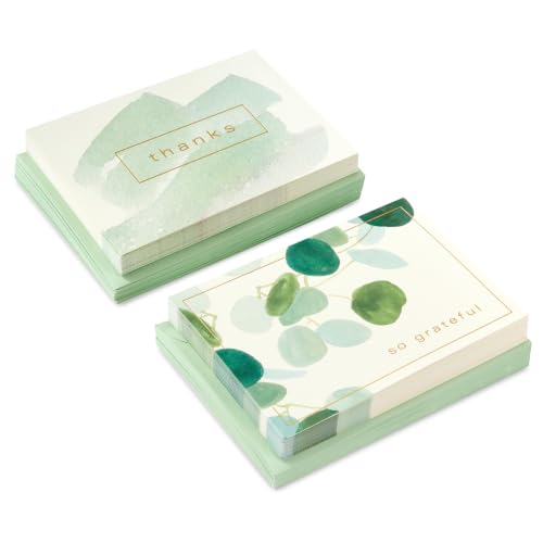 Hallmark Bulk Thank You Cards, Assorted 50-Pack (Watercolor Greenery)
