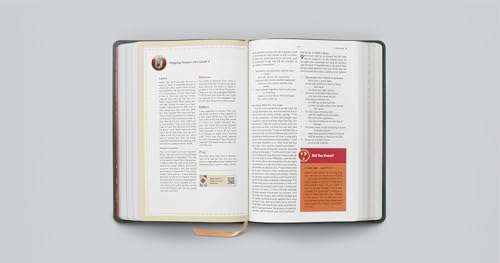 ESV The Biggest Story Holy Bible for Kids (TruTone, Dark Green, Armor Design): Children's Bible for Ages 6–12