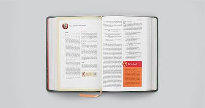 ESV The Biggest Story Holy Bible for Kids (TruTone, Dark Green, Armor Design): Children's Bible for Ages 6–12