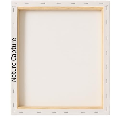 Armor of God Wall Art - Christian Wall Art with Ephesians 6:10-18 Scripture - 1.5cm Thick Gallery Wrapped Canvas - Ready to Hang - Religious Faith Gift for Home, Office, Church - 15.7x11.8 - color: Armor of God