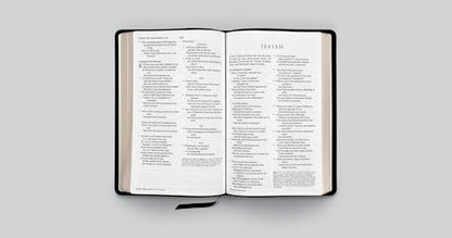 ESV Large Print Thinline Reference Bible (Black)
