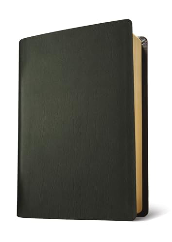 NLT Life Application Study Bible, Third Edition, Large Print (Genuine Leather, Black, Indexed, Red Letter)