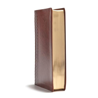 CSB Everyday Study Bible, British Tan LeatherTouch, Black Letter, Study Notes, Illustrations, Aricles, Easy-to-Carry, Easy-to-Read Bible Serif Type