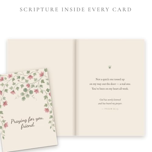 Hat Acrobat 24 Christian Thinking of You Cards with Envelopes - 24 Unique Watercolor Botanical Designs, Bible Verse Inside, Faith Encouragement Cards Assortment - color: Scripture Botanicals