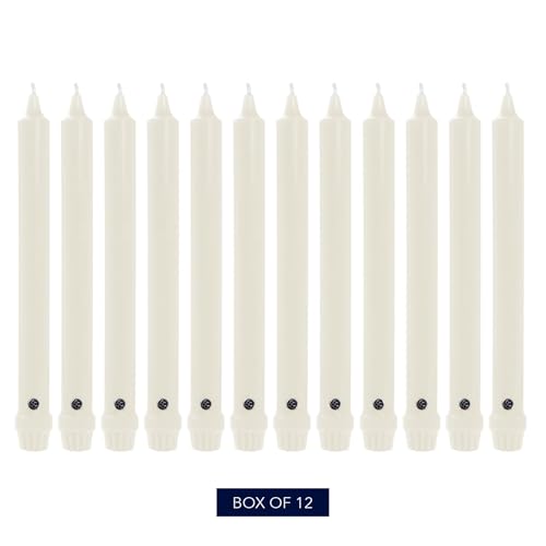 Colonial Candle Unscented Taper Candle, Classic Collection, White, 10 In, Pack of 12 - Up to 8 Hours Burn - color: White, size: 10 In, style: Classic