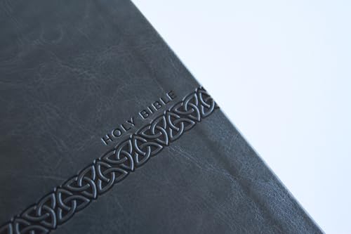 KJV Holy Bible, Large Print Medium format, Gray Faux Leather with Ribbon Marker, Red Letter, thumb Index (KJV Medium Size Large Print Editions)
