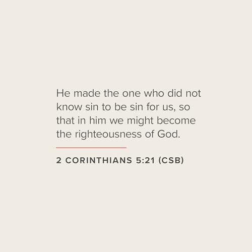 CSB Everyday Study Bible, Black LeatherTouch, Black Letter, Study Notes, Illustrations, Aricles, Easy-to-Carry, Easy-to-Read Bible Serif Type