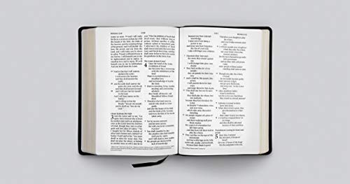 ESV Large Print Wide Margin Bible (Black)