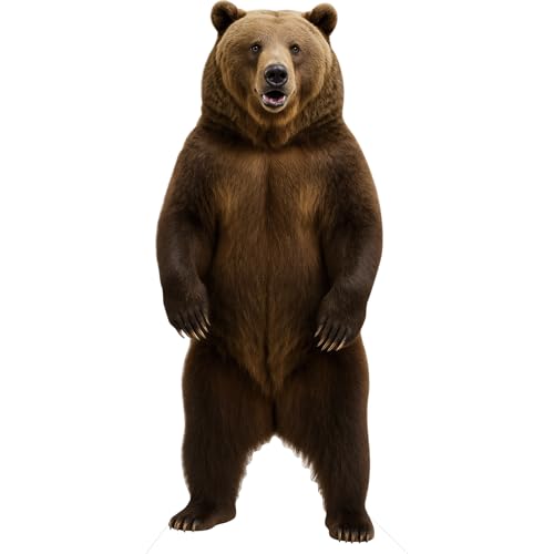 Bear 2FT Life Size Cardboard Cutout, 1 PC - color: Bear, size: 2FT