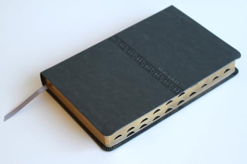 KJV Holy Bible, Large Print Medium format, Gray Faux Leather with Ribbon Marker, Red Letter, thumb Index (KJV Medium Size Large Print Editions)