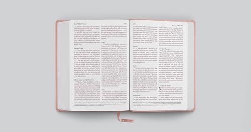 ESV Giant Print Bible, Red Letter (TruTone, Pink, Fleur-de-lis Design): Holy Bible, English Standard Version