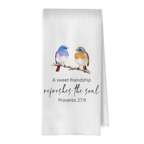 Friendship Christian Kitchen Towels - Bible Verse Gifts Decorative Waffle Dish Towels, Bird Gift Hand Towel, Christian Gifts Tea Towel, 16×24 Inches - color: Christian- 14