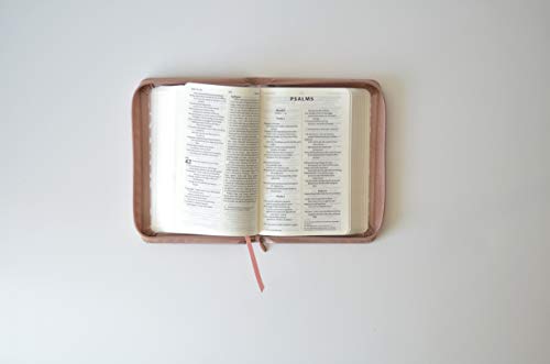 NIV Pocket Soft-tone Bible 3