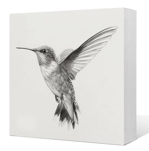 Hummingbird Wooden Box Sign, Hummingbird Gifts for Women Men, Rustic Neutral Humming Bird Wood Signs for Home Bedroom Desk Table Shelf Decoration, 5x5 Inch - color: Hummingbird