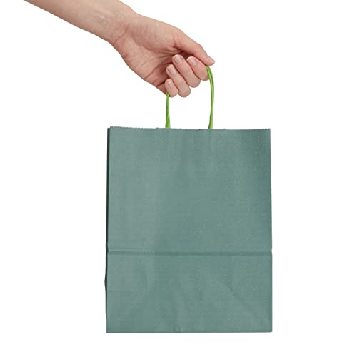BLUE PANDA 25-Pack Dark Green Gift Bags with Handles, 8x4x10-Inch Paper Goodie Bags for Party Favors and Treats, Birthday Party Supplies