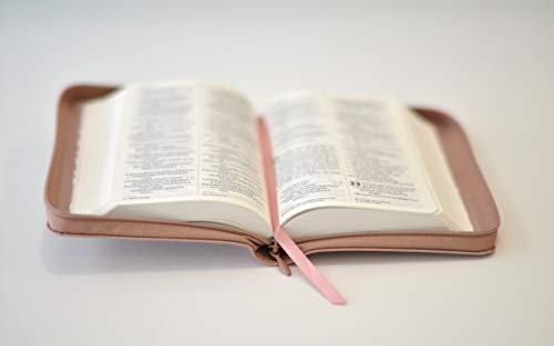 NIV Pocket Soft-tone Bible 3