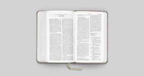 ESV Pocket Bible (TruTone, Stone, Branch Design): Holy Bible, English Standard Version