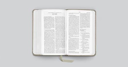 ESV Pocket Bible (TruTone, Stone, Branch Design): Holy Bible, English Standard Version