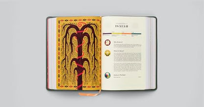 ESV The Biggest Story Holy Bible for Kids (TruTone, Dark Green, Armor Design): Children's Bible for Ages 6–12