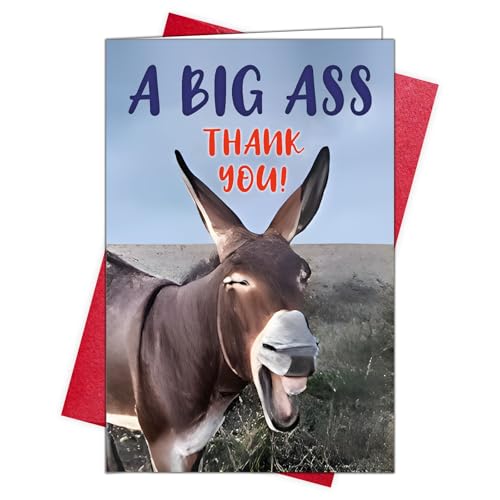Thank You Cards with Envelopes, Funny Thank You Card for Friends, Coworkers - color: DXI#047