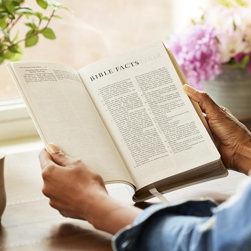 NRSV Catholic Edition Gift Bible, Teal Leathersoft (Comfort Print, Holy Bible, Complete Catholic Bible, NRSV CE): Holy Bible
