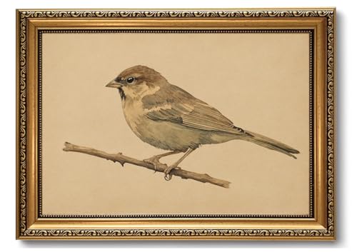 Vintage Bird Wall Art Gold Framed Sparrow on Branch Animal Wall Decor - color: Sparrow, size: 16"L x 12"W