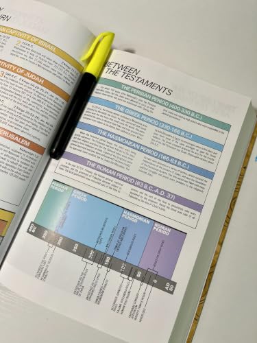 NIV, Textbook Bible for Students, Hardcover, Crinkled Paper with Doodles Design: Great for Christian Education at Home and School