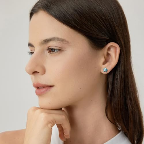Cute Stud Earrings for Women Dachshund Koi Fish Sea Star Sea Turtle Sea Conch Earrings 14K Gold Plated Dainty Stud Earring funky Jewerly - color: Silver Sea Star