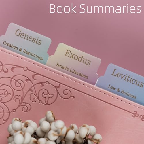 UPAFEXXI-Laminated Bible Tabs with Book Summaries(Rainbow) - color: Summaries Rainbow