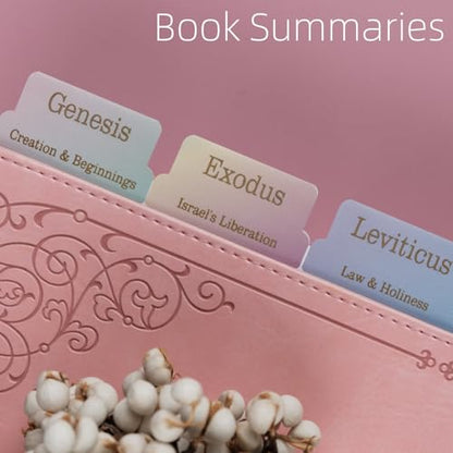 UPAFEXXI-Laminated Bible Tabs with Book Summaries(Rainbow) - color: Summaries Rainbow