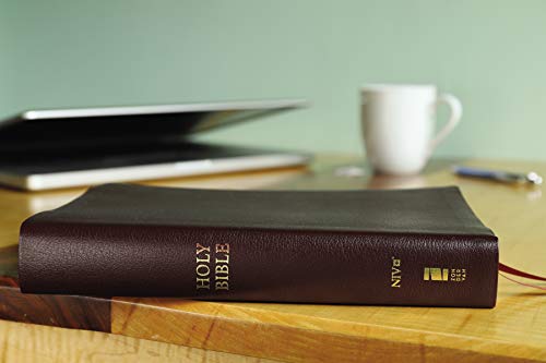 NIV, Reference Bible, Giant Print, Bonded Leather, Burgundy, Red Letter, Thumb Indexed, Comfort Print