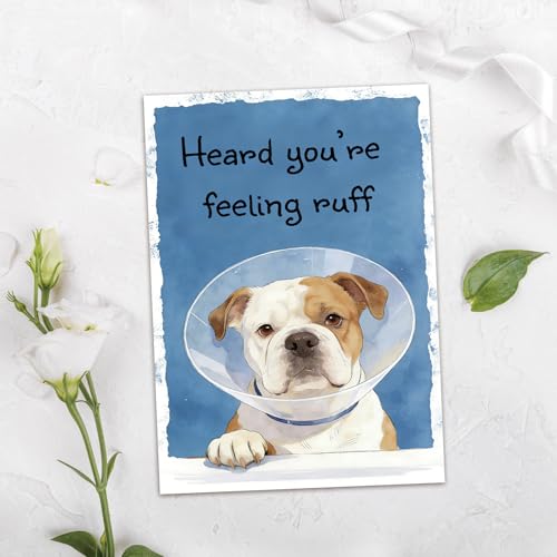 Funny Get Well Soon Card for Men Women, Surgery Recovery Gifts for Women Men, Cute Dog Get Well Soon Gifts, Post Surgery Recovery Card - color: SK-096