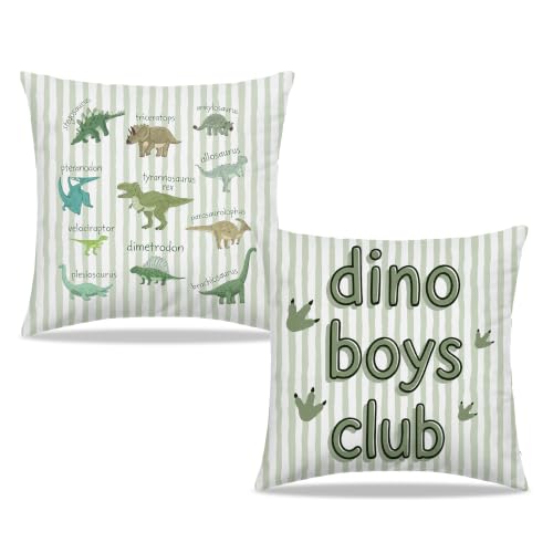 Dibor Dinosaur Boy Nursery Green Striped Throw Pillow Covers 18x18 Set of 2 - color: Dino